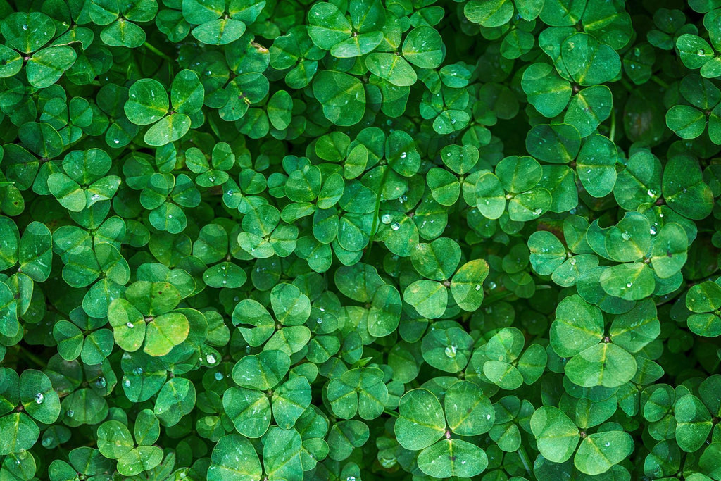How Can Shower Part Help You Go Green Through The Environmental Benefits Of Upcycling.