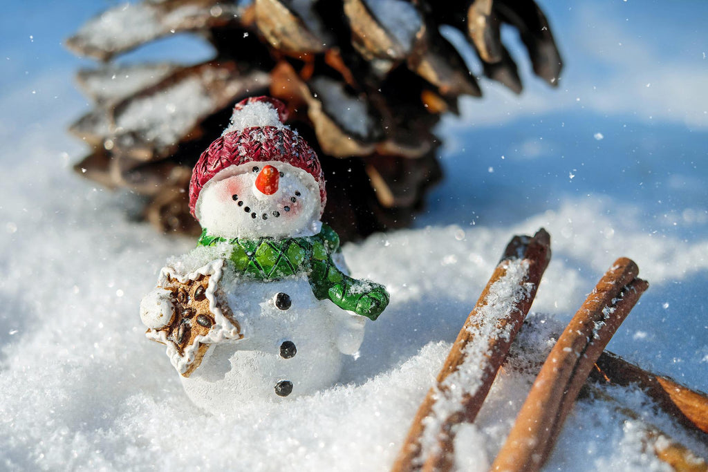 Are You Prepared for Christmas and the Festive Holidays?